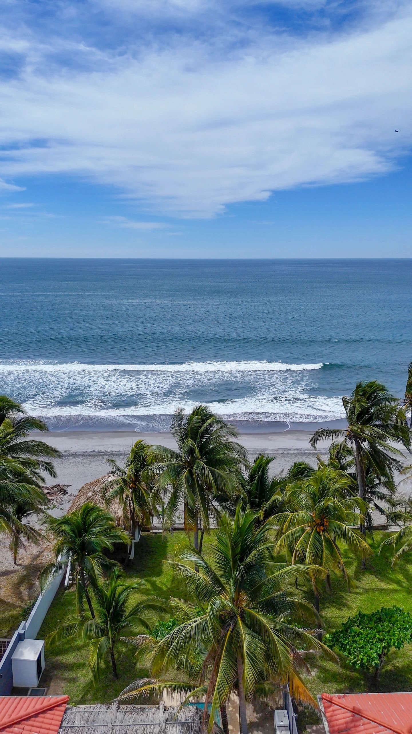 Pacific waves beyond the palms at Playa Amatecampo